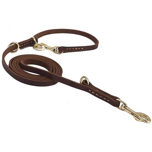 Choosing Your Dog's Leash